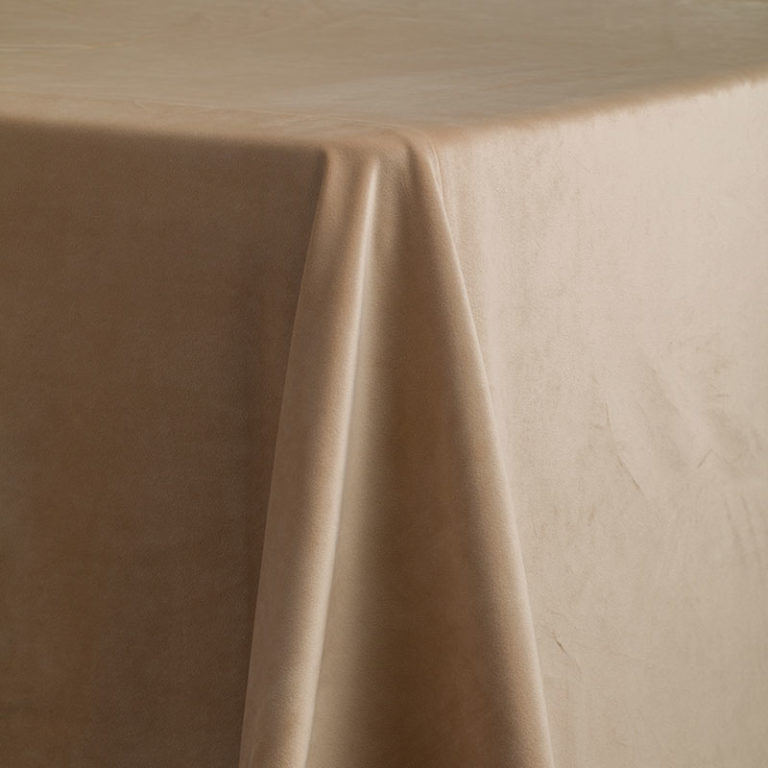 Champagne French Velvet